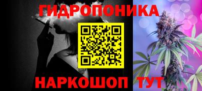 МДПВ Дубна