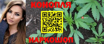 бошки Донской