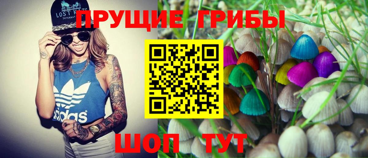Надым  Псилоцибиновые грибы GOLDEN TEACHER  Вход с VPN 